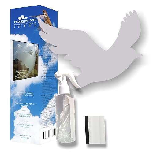 22 Silhouettes d'oiseaux pour vitres — imaggge.com