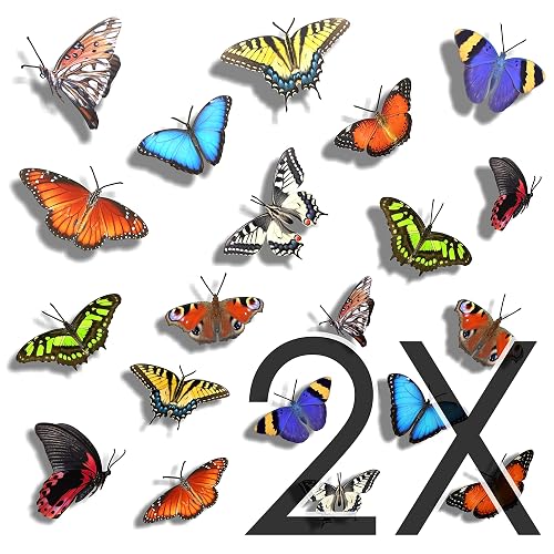 40 papillons (2 sets de 20 papillons) — imaggge.com