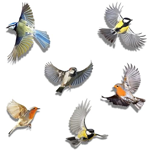 6 Oiseaux- Autocollants décoratifs ou Anti-Collision d'oiseaux — imaggge.com