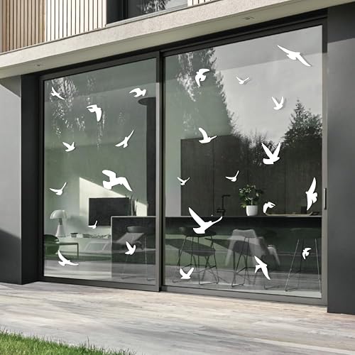 Autocollants Anti-Collision pour Oiseaux — imaggge.com