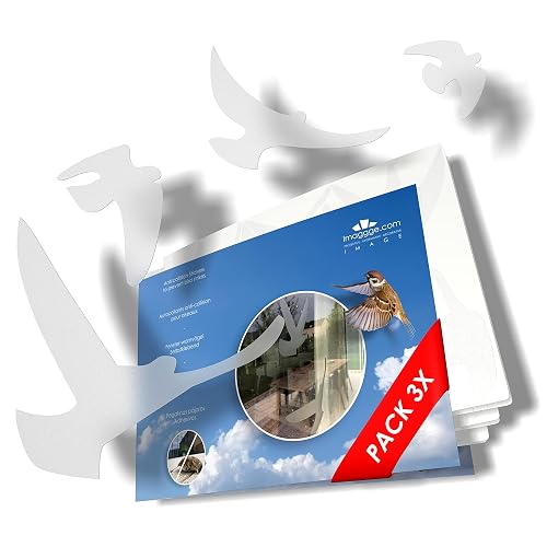 Lot de 3 Ensembles d'autocollants Anti-Collision pour Oiseaux — imaggge.com