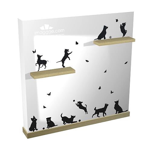 Stickers chiens, papillons et balles — imaggge.com